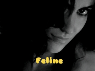 Feline