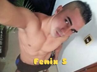 Fenix_S