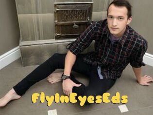 FlyInEyesEds