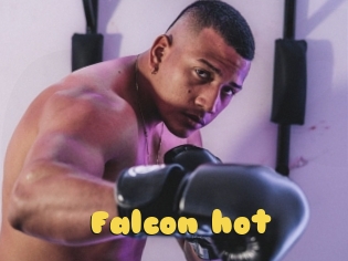 Falcon_hot