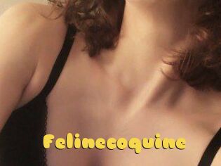 Felinecoquine