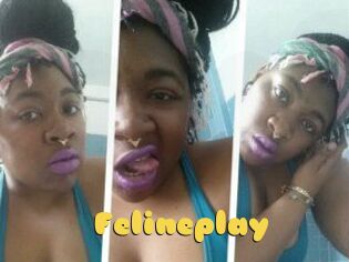 Felineplay