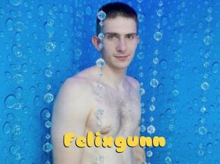 Felixgunn