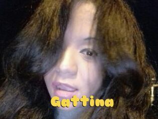 Gattina