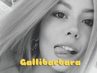 Gallibarbara