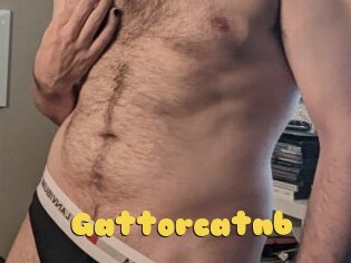 Gattorcatnb