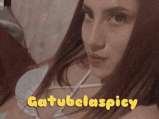 Gatubelaspicy