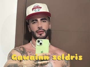 Gawainn_zeldris