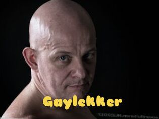 Gaylekker
