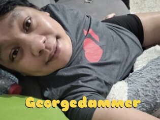 Georgedammer