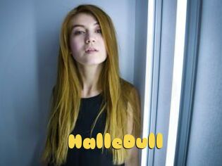 HalleDull