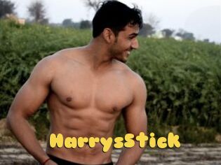 HarrysStick