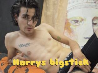 Harrys_bigstick