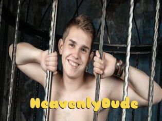 HeavenlyDude