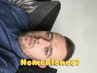HomeAlone87