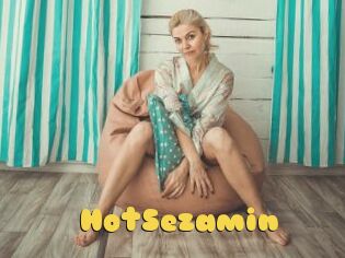 HotSezamin