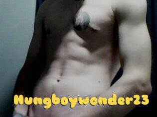 Hungboywonder23