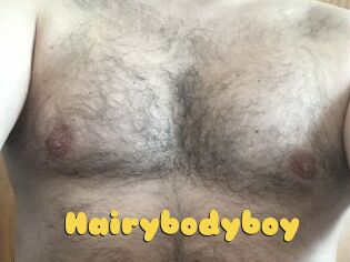 Hairybodyboy