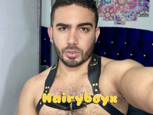 Hairyboyx