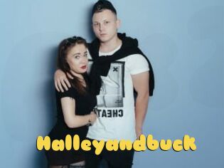 Halleyandbuck