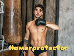 Hamerprotector