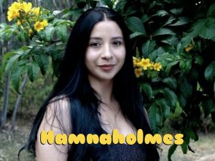 Hamnaholmes