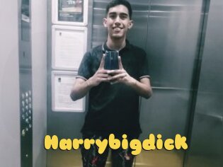 Harrybigdick