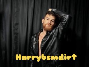 Harrybsmdirt