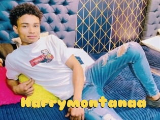 Harrymontanaa