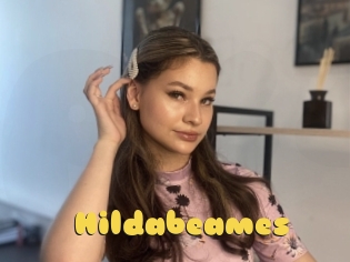 Hildabeames