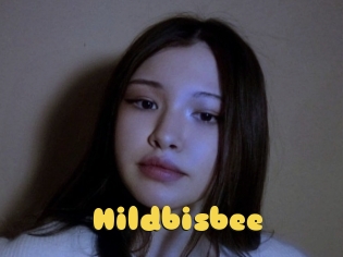 Hildbisbee