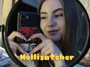 Hollisatcher