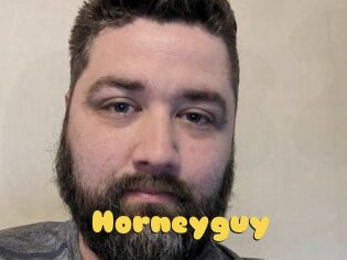 Horneyguy