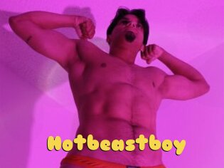 Hotbeastboy