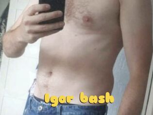 Igor_bash