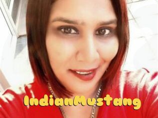 IndianMustang