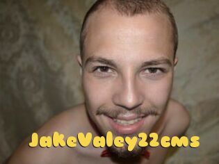 JakeValey22cms