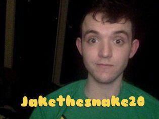 Jakethesnake20