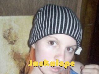 Jackalope
