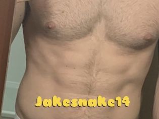 Jakesnake14