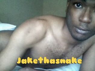 Jake_tha_snake