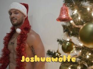 Joshuawolfe