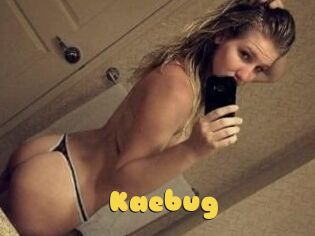 Kaebug