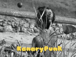 KanaryPunk
