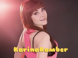 KarinaKamber