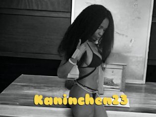 Kaninchen23