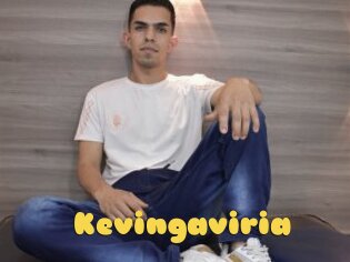 Kevingaviria