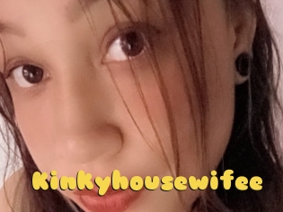 Kinkyhousewifee