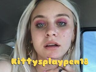 Kittysplaypen18