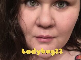 Ladybug22